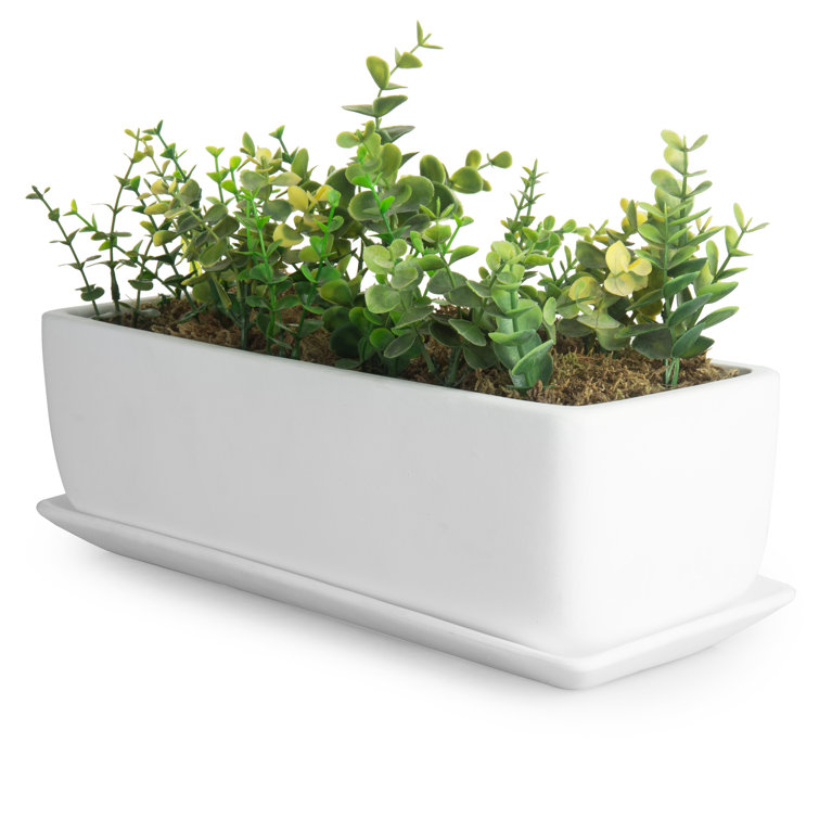 Latitude Run® Ceramic Planter Box & Reviews Wayfair